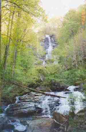 Amicalola Falls State Park, GA. Photo by Lisette Keating, 4/23/04